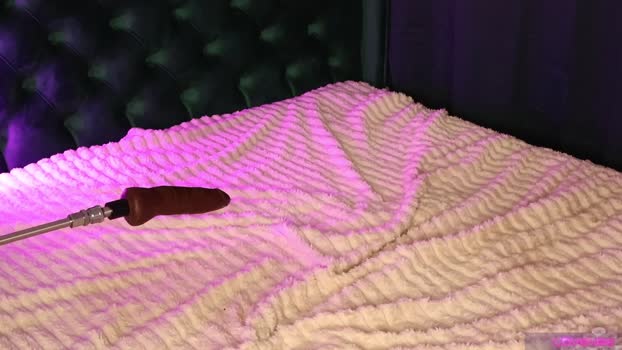 alicebunny_ StripChat Female 16-01-2025