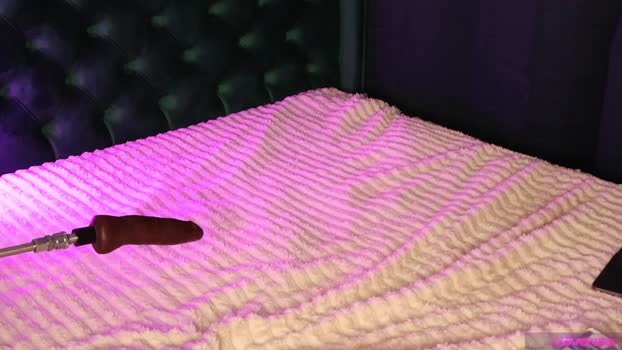 alicebunny_ StripChat Female 16-01-2025