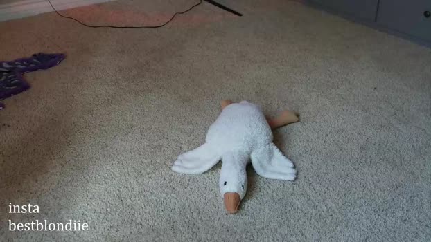 bestblondiiecb Chaturbate Female 17-01-2025