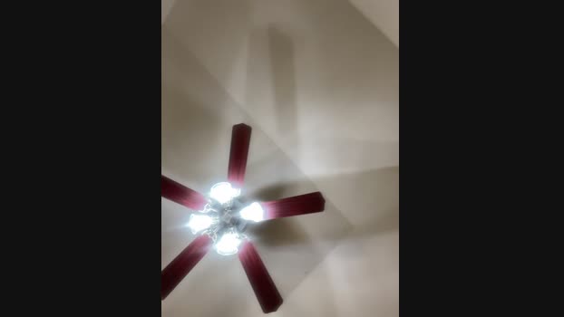 shaarebaare StripChat Female 17-01-2025