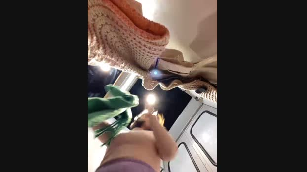 AliceMoore__ StripChat Female 19-01-2025