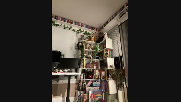 GingerSnap33 StripChat Female 18-01-2025