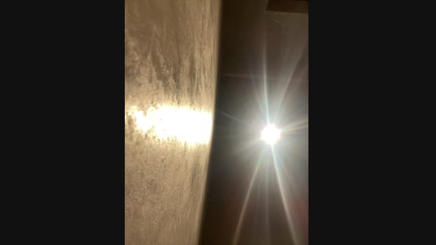 Holly_Molii StripChat Female 19-01-2025