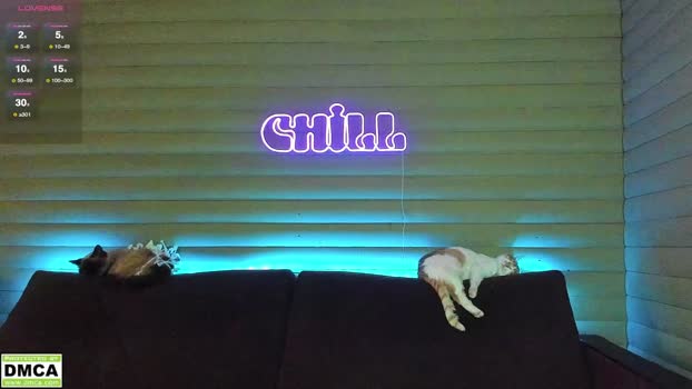 meowluv66 StripChat Female 19-01-2025