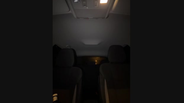 EvieEvans StripChat Female 19-01-2025