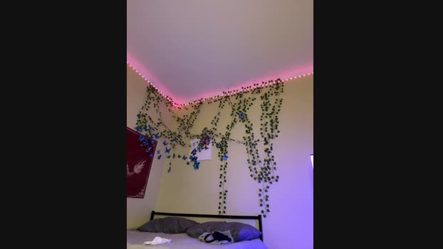 SweetWhispers StripChat Female 19-01-2025