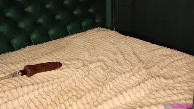 alicebunny_ StripChat Female 19-01-2025