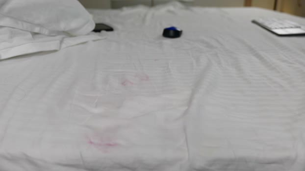 celestara StripChat Female 21-01-2025