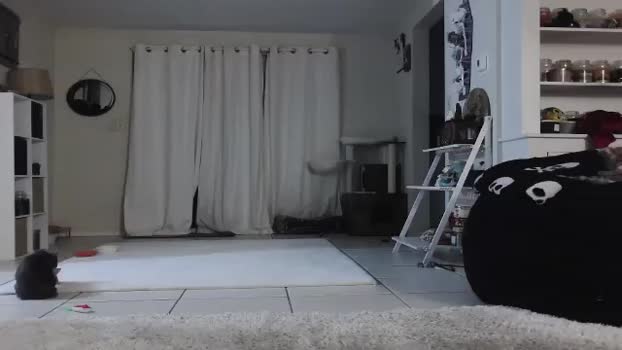 CrystalLake MyFreeCams Female 22-01-2025