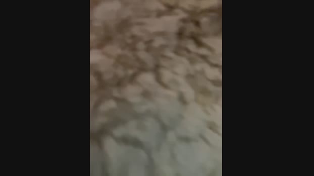 Holly_Molii StripChat Female 23-01-2025