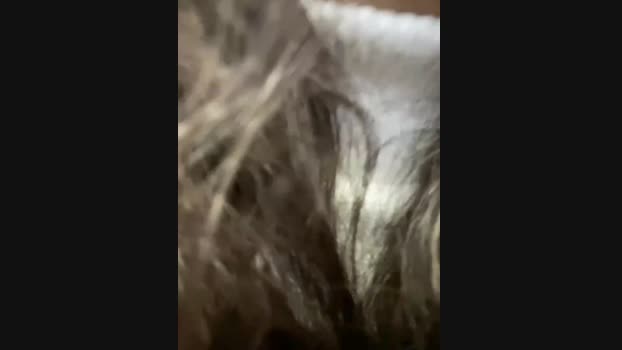 Lina_twin StripChat Female 23-01-2025