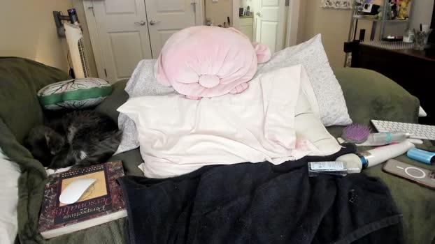 eve003300 Chaturbate Female 22-01-2025