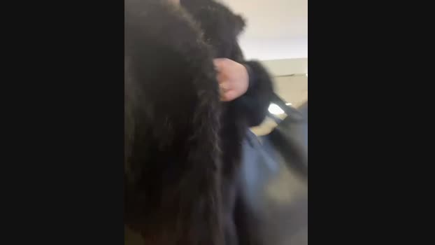 Chloe__Moon StripChat Female 24-01-2025