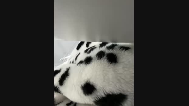 Milkyy_wway StripChat Female 24-01-2025