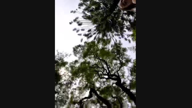 Public_Katrisha StripChat Female 24-01-2025