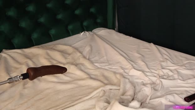 alicebunny_ StripChat Female 23-01-2025