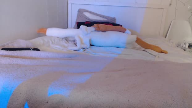 hello_imkitty Chaturbate Couple 23-01-2025