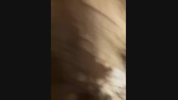 Lina_twin StripChat Female 25-01-2025