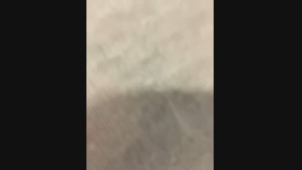 Sweet___Emily StripChat Female 24-01-2025