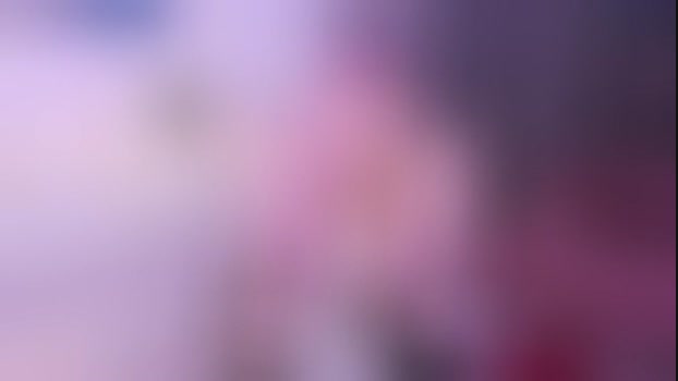 ellyford StripChat Female 24-01-2025