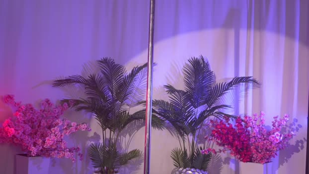 kittycaitlin Chaturbate Female 24-01-2025