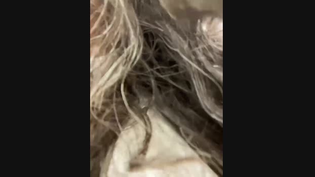 Lina_twin StripChat Female 25-01-2025