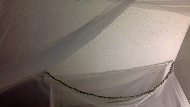 c0ckwhores StripChat Female 25-01-2025