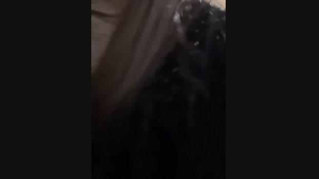 Chloe__Moon StripChat Female 27-01-2025