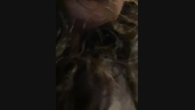 Lina_twin StripChat Female 26-01-2025