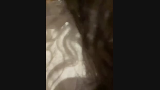 Lina_twin StripChat Female 26-01-2025