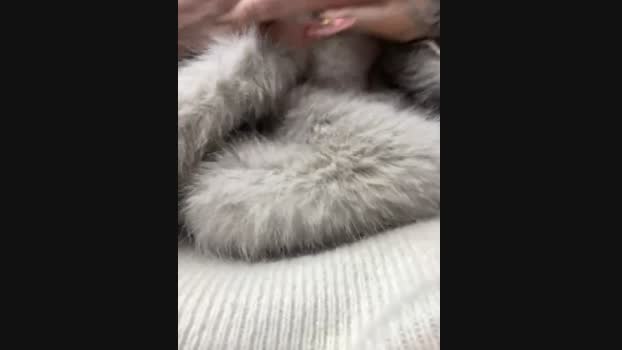 babydolll StripChat Female 27-01-2025