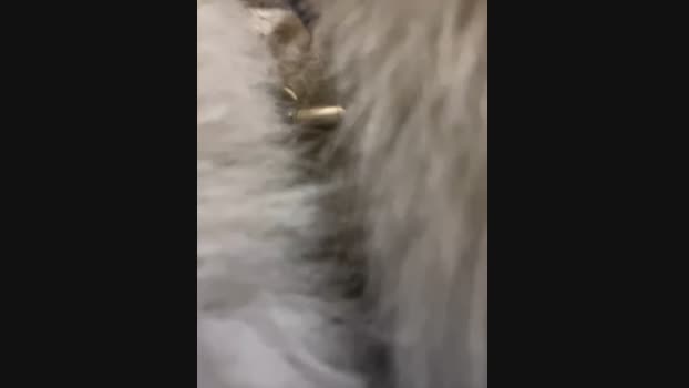 babydolll StripChat Female 27-01-2025