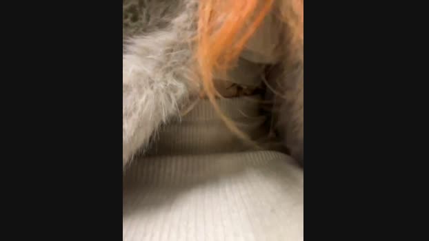 babydolll StripChat Female 27-01-2025