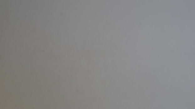 my_stella Chaturbate Female 26-01-2025