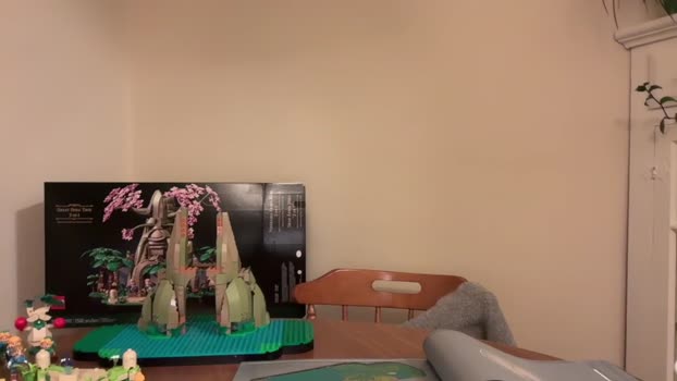 ollyhibs Chaturbate Female 26-01-2025