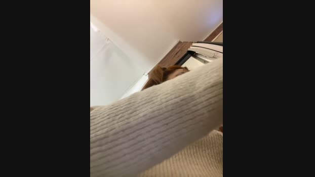 babydolll StripChat Female 27-01-2025