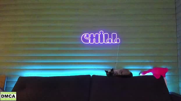 meowluv66 StripChat Female 27-01-2025