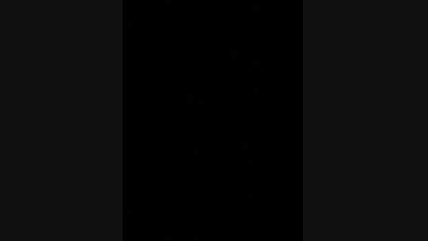 Lina_twin StripChat Female 28-01-2025