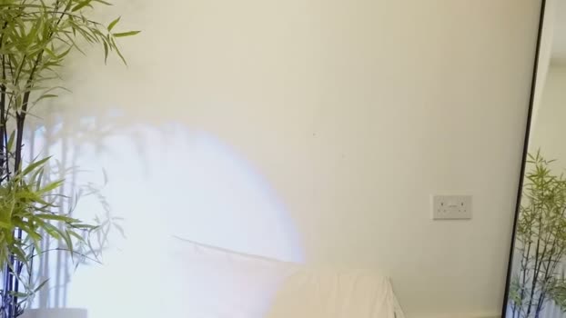 Miss_ReinaT MyFreeCams Female 31-01-2025