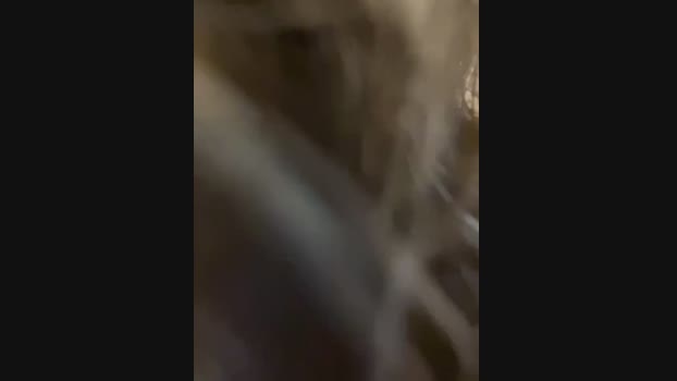 Lina_twin StripChat Female 01-02-2025