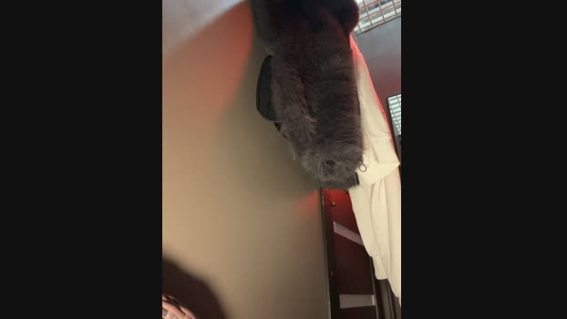 Myrtle_Beach StripChat Female 31-01-2025