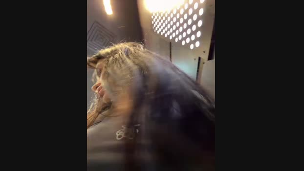 Wet__Bunny StripChat Female 01-02-2025