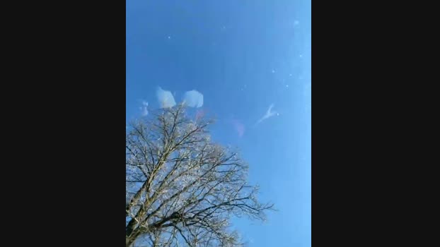 joanaelaa StripChat Female 01-02-2025