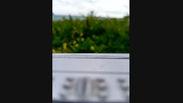 Eleni_Pappa StripChat Female 02-02-2025