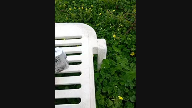 Eleni_Pappa StripChat Female 02-02-2025