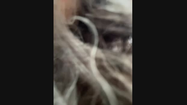 Lina_twin StripChat Female 02-02-2025