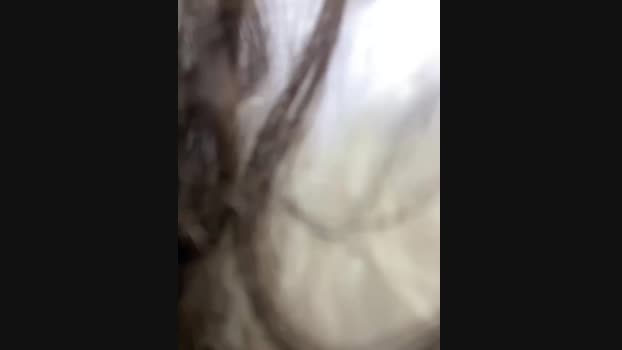 Lina_twin StripChat Female 02-02-2025