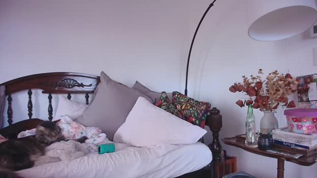 NaomiDee MyFreeCams Female 01-02-2025