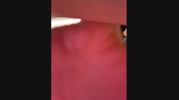 Amberonee31 StripChat Female 02-02-2025