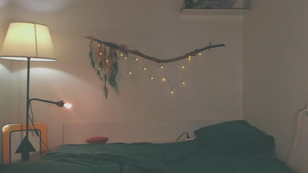 _Bruksa_ StripChat Female 02-02-2025